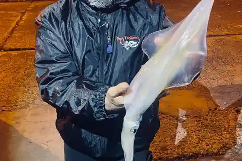 TAORMINA: Corso di Pesca a Cefalopodi con ROY FISHING