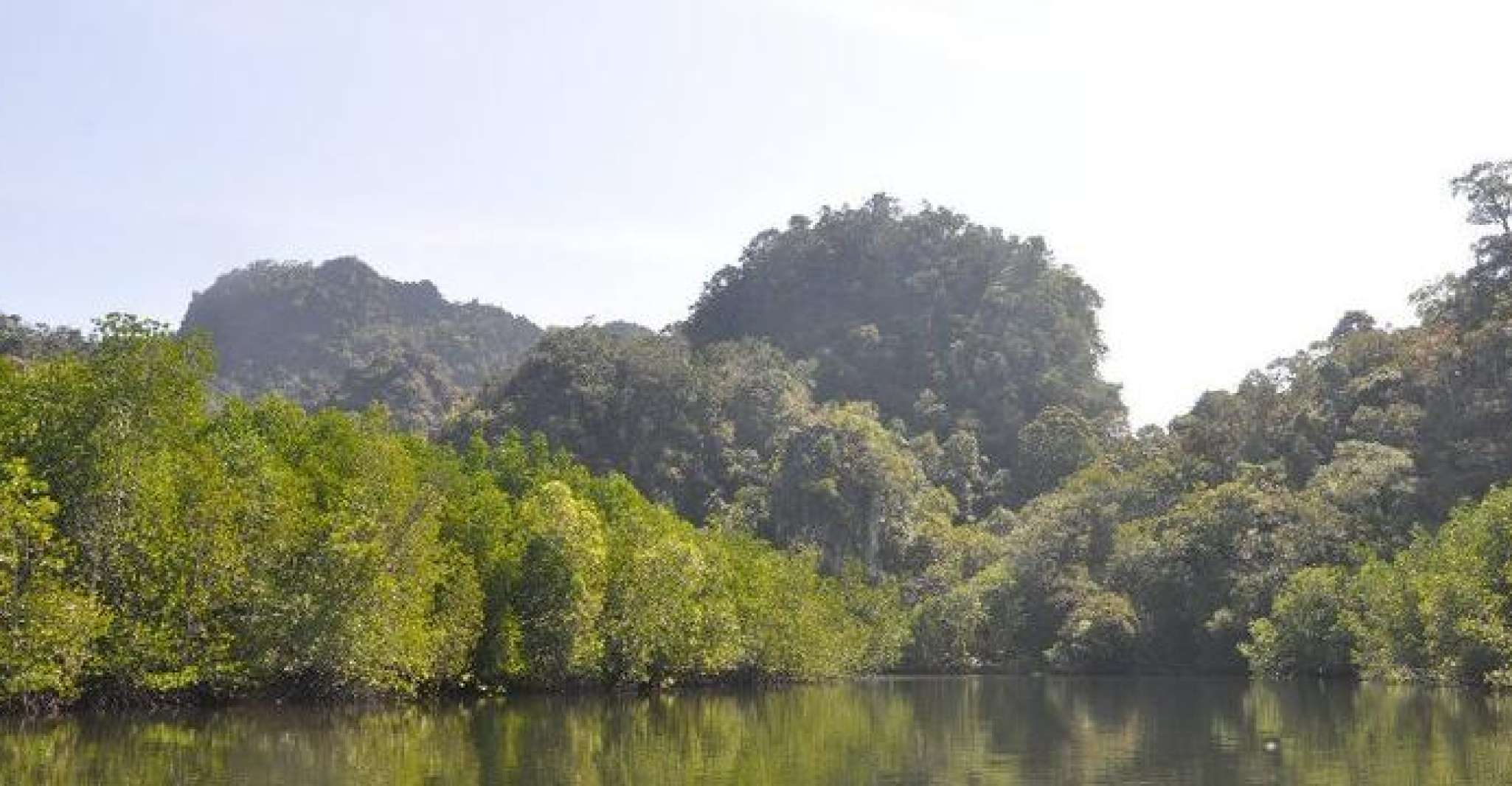 Langkawi, Full-Day Mangrove Safari Boat Tour with Lunch - Housity