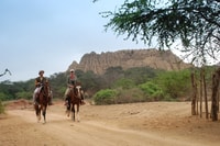 Chiclayo, Pomac Forest Historic Sanctuary & Sican Museum - Housity