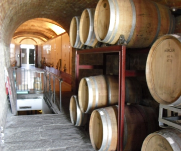 Livorno Port, Pisa, Florence: Full-Day Shore Excursion
