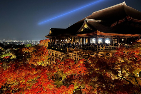 Upptäck höjdpunkterna i Kyoto &amp; Nara på 3 dagar!