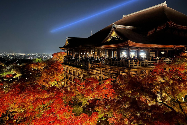 Upptäck höjdpunkterna i Kyoto &amp; Nara på 3 dagar!