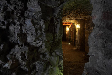 Edimburgo: tour storico dei sotterranei di giornoEdimburgo: tour giornaliero per piccoli gruppi delle cripte storiche sotterranee