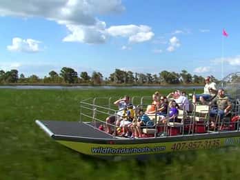 Orlando: Wild Florida Everglades Airboat & Wildpark Orlando: Wild Florida Everglades Airboat & Wildpark