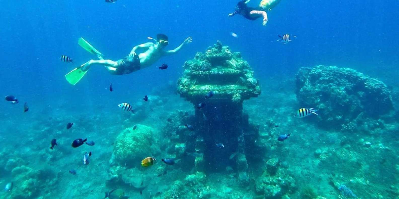 Bali snorkeling tour — underwater marine life and coral reefs — image 1