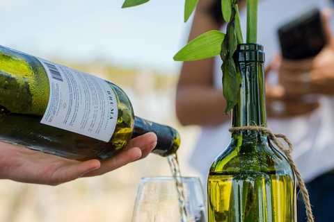 Barcelona: Tarragona Tour & Organic Wine Tasting