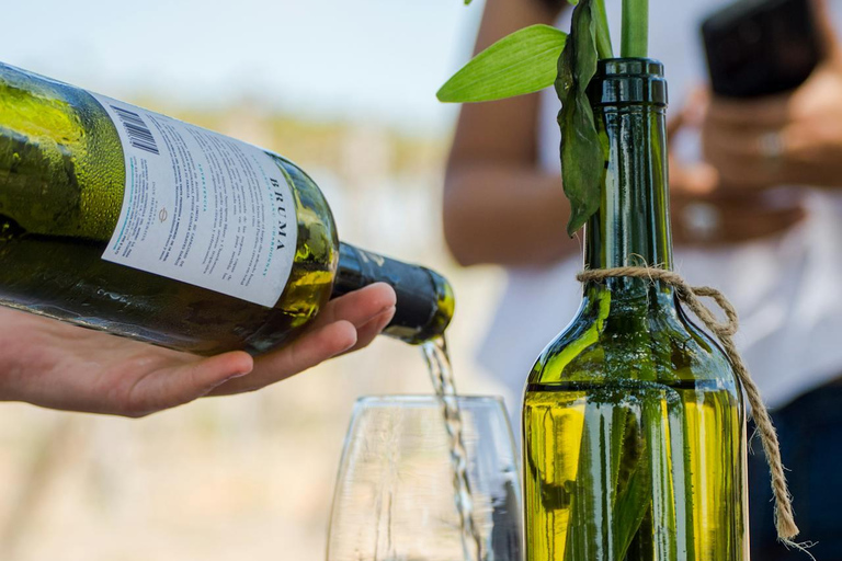 Barcelona: Tarragona Tour & Organic Wine Tasting
