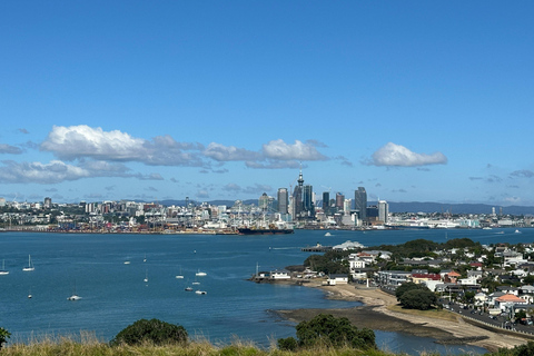 Tour di mezza giornata dei luoghi più interessanti della città di Auckland (tour per piccoli gruppi)