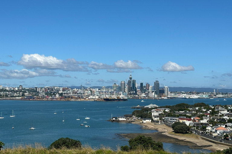 Tour di mezza giornata dei luoghi più interessanti della città di Auckland (tour per piccoli gruppi)