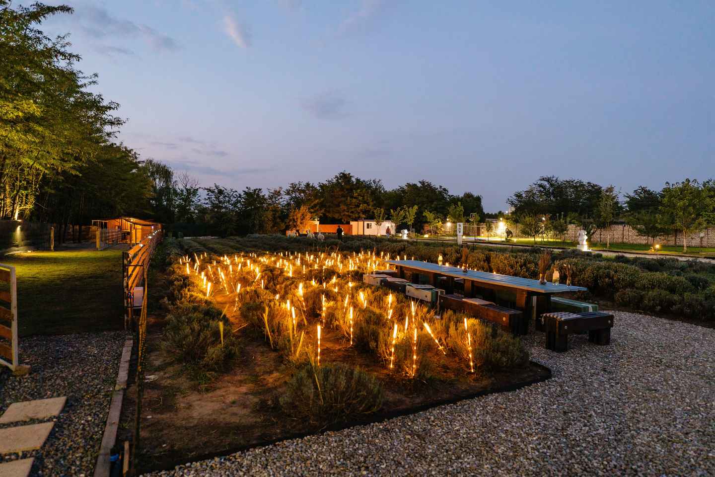 Bucharest: Day Trip at the The Tribe Alpaca Retreat