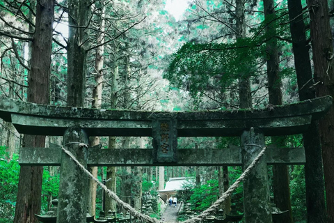 Fukuoka: Mt. Aso Volcano, Kusasenri & Grasslands Day Tour 7:40 Hakata Station Chikushi Exit Lawson Meetup