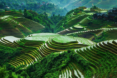 Guilin: Longji Rice Terraces and Huangluo Yao Village Tour