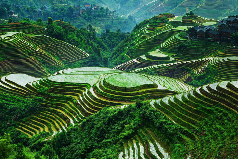 Guilin: Longji Rice Terraces and Huangluo Yao Village Tour