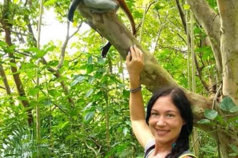 FROM NUNGWI/KENDWA:STONE TOWN, PRISON ISLAND & JOZANI FOREST Private tour include hotel pick up and drop off