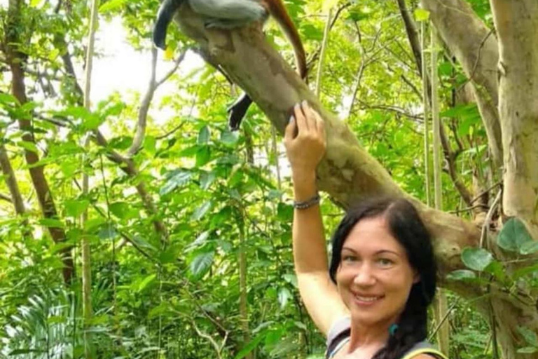 FROM NUNGWI/KENDWA:STONE TOWN, PRISON ISLAND & JOZANI FOREST Private tour include hotel pick up and drop off