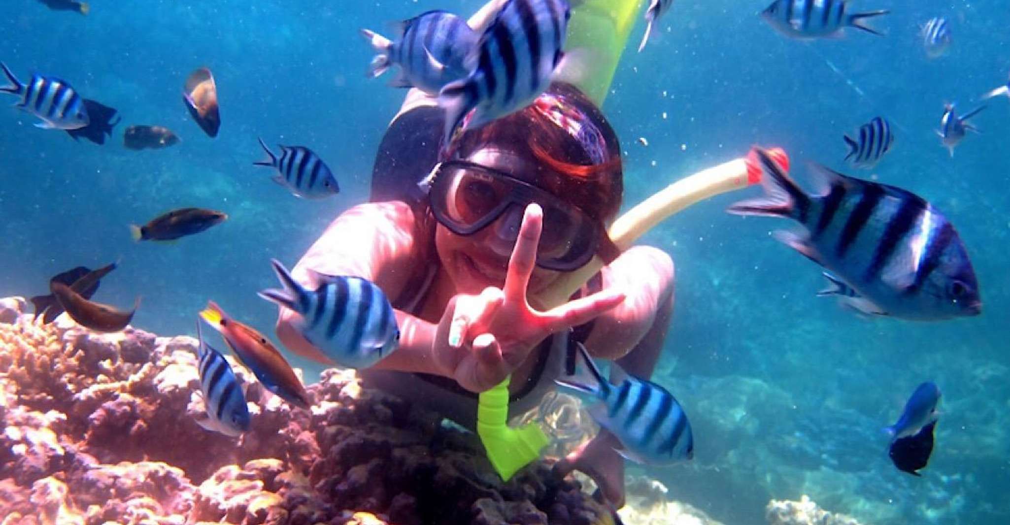 Lovina/Bali, Delfinbeobachtung, Schwimmen & Schnorcheln Tickets - Hizvo