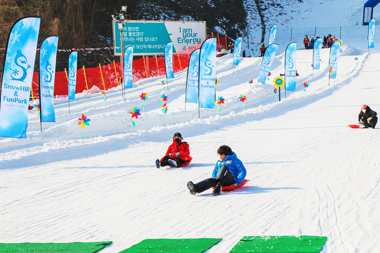 Elysian Ski Resort_ Snow Hill (Snow sled) Day Tour Depart from Hongdae Station Exit 8