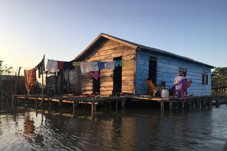 From Santa Marta: 1-Day Nueva Venecia & Ciénaga Grande Tour