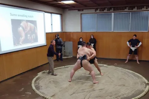 Tóquio: Espetáculo de Sumo e experiência gastronómica
