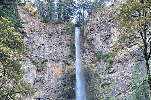 Cyber Waterfall Tours