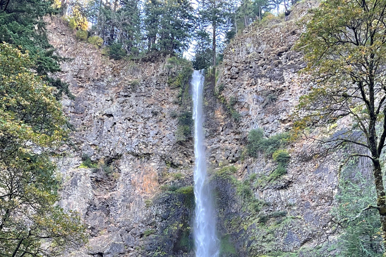 Cyber Waterfall Tours