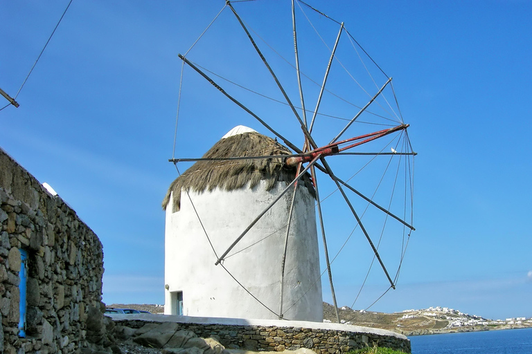 Mykonos: Elia Beach and Mykonos Town Trip