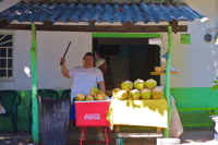 Puerto Vallarta Tour gastronómico de 3 horas de auténtica cocina local - Hizvo