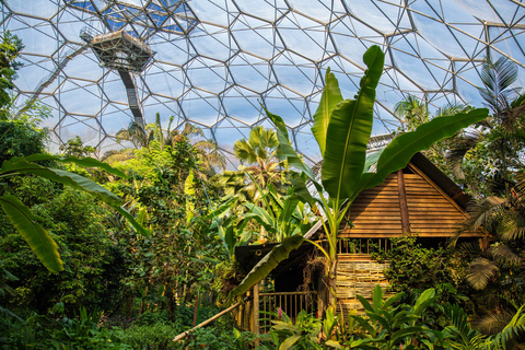 Kornwalia: Bilet wstępu do projektu Eden