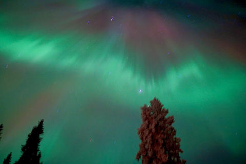 Rovaniemi Northern Lights – The Real Guaranteed Hunt