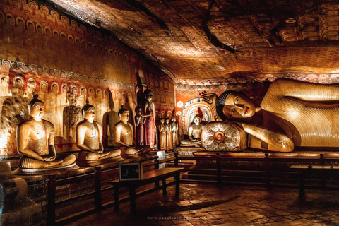 Sigiriya/Dambulla: Private Day Trip with Lunch-All Inclusive From Pasikuda / Kalkudah