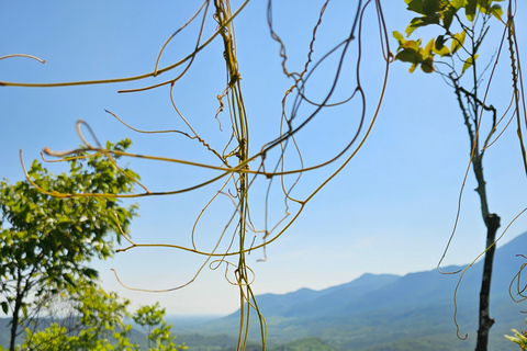 Santuario de My Son y Senderismo de Montaña - PeregrinaciónMi hijo Santuario Viaje de madrugada