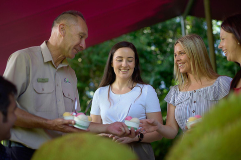 Cairns: Wodospad, mokradła i kolejka SkyrailWodospad, mokradła i kolejka Skyrail z Port Douglas