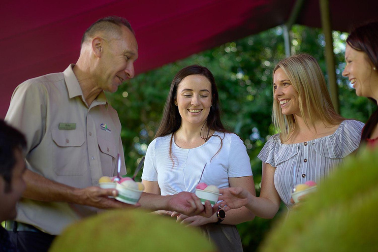 Cairns: Waterval, wetlands en Skyrail