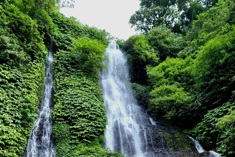 North Bali : Best of 3 Hidden Waterfalls Must be visited Option pricing all inclusive