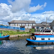 Sallins: The Digby Lock Grand Canal Cruise - 2.5 hours