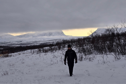 Abisko: Arctic Morning - Snowshoes Experience