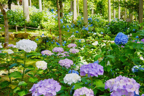 Osaka: Lake Biwa, Moonlit Temple and Omi Highlights Day Trip