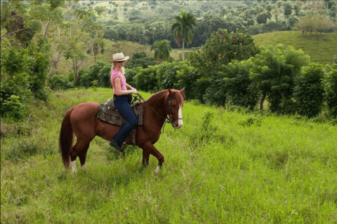 Punta Cana: Haitises Horses, Cano hondo &amp; Montana redonda