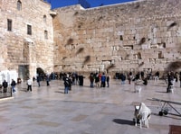 Jeruzalem en Dode Zee, de volledige tournee vanuit Jeruzalem - Housity