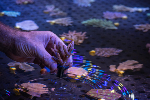 Port Douglas: Forever Reef Project Coral Biobank Guided Tour