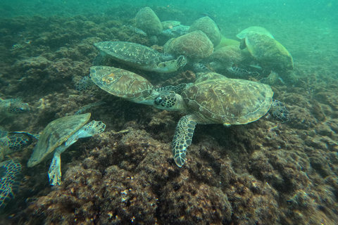 Muscat: Daymaniyat Islands Boat & Snorkel Trip