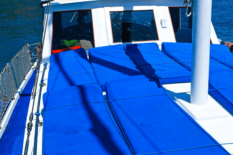 Bodrum: tour privato in barca con snorkeling e pranzo