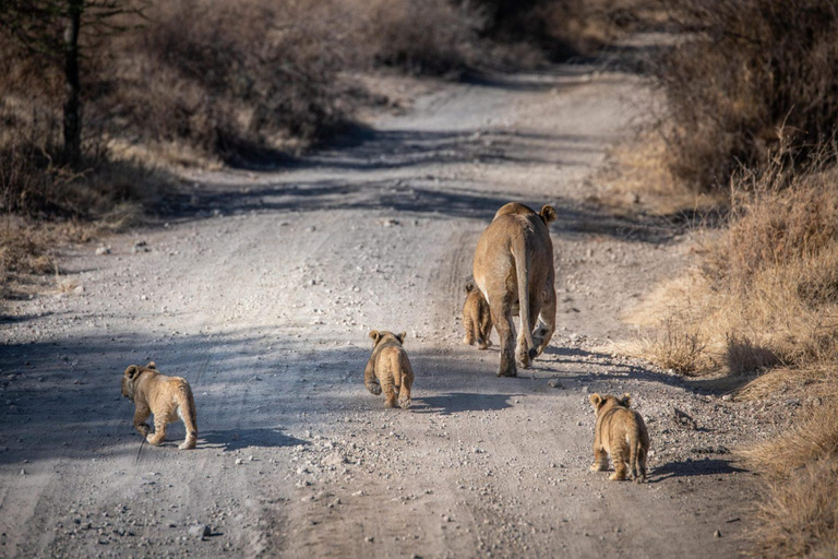 3-dniowe prywatne safari z Zanzibaru z lotami