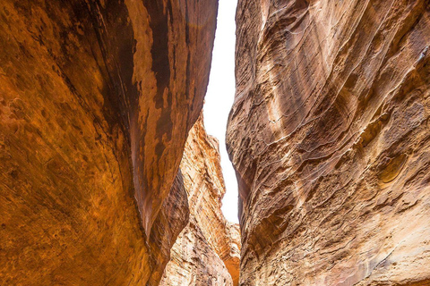 From Aqaba: Private Petra Day Tour with Round-Trip Transfers Petra & Wadi Rum in a day