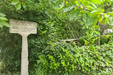 Op de sporen van de herinnering: de spoorweggeschiedenis van Vila Real