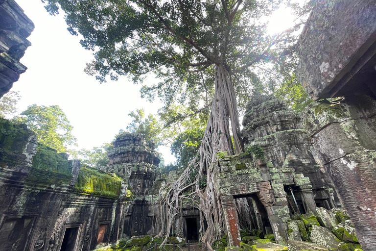 7-Day Cambodia Adventure: Angkor Temples, Kulen & Battambang