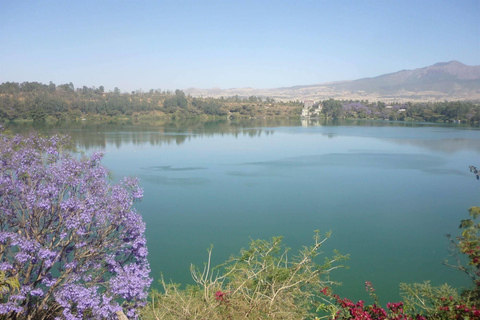 Excursión de un día a Debre zeit