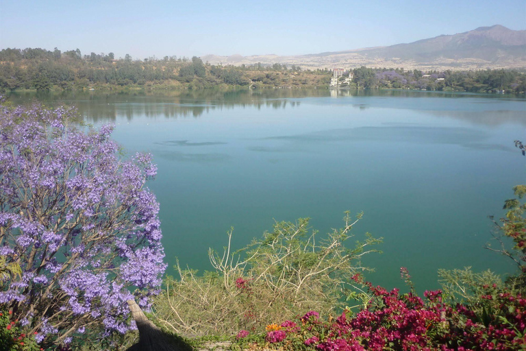 Excursion d'une journée à Debre zeit