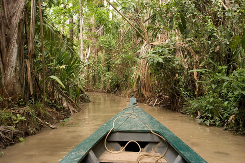 Aventura de 4 dias na Floresta Amazônica