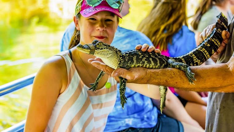 Las Mejores Actividades en Vacherie